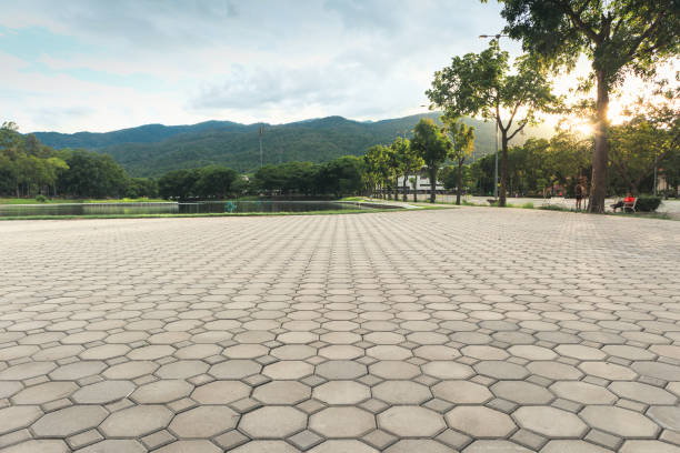 Best Driveway Repair Near Me  in Springfield, SD